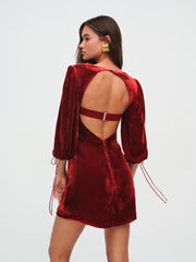 Nadine Velvet Mini Dress