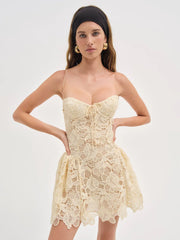 Coco Lace Sleeveless Mini Dress