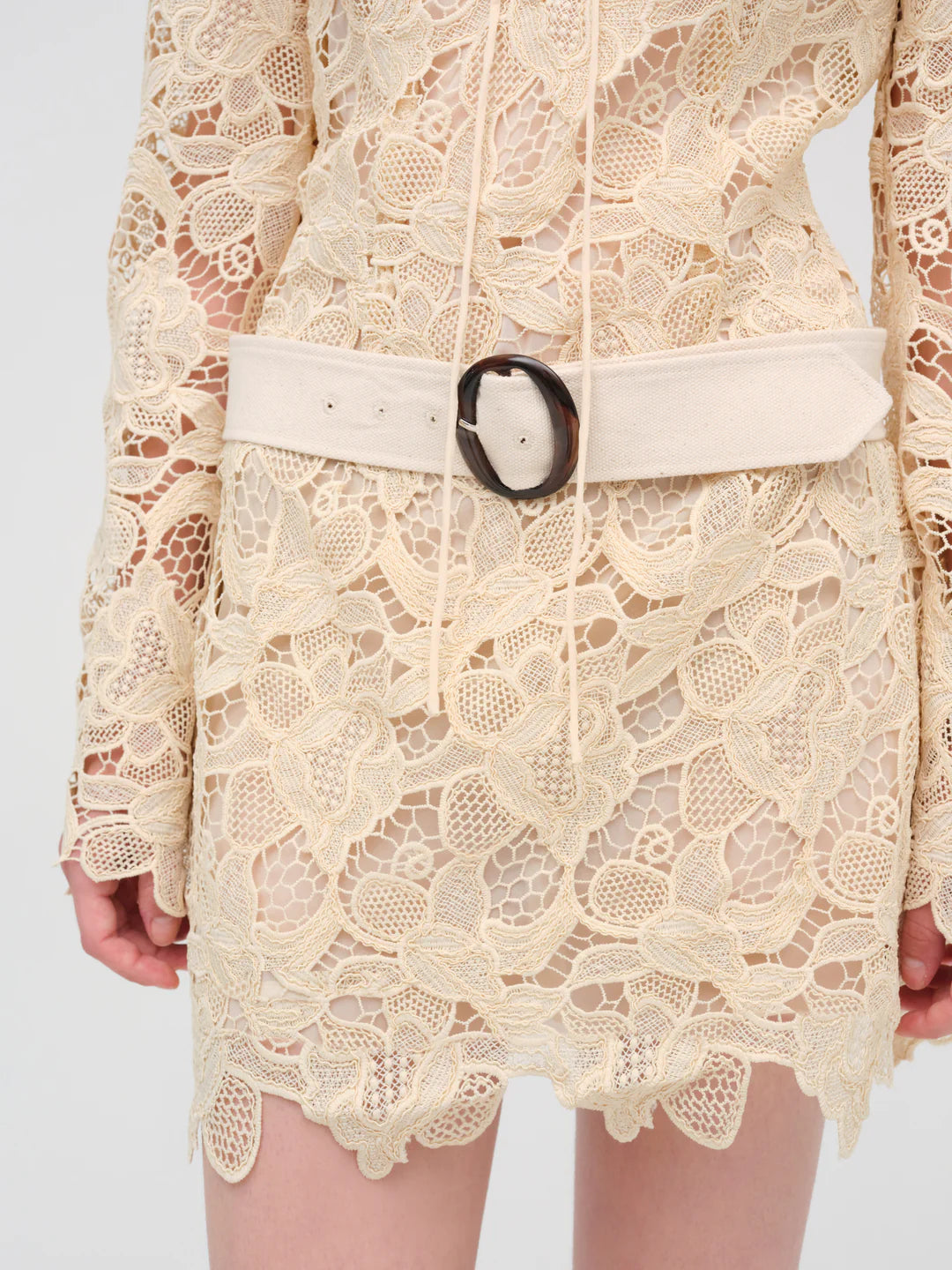 Coco Lace Long Sleeve Mini Dress