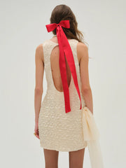 Frosted Organza Mini Dress