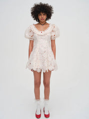 Aphrodite Embroidered Mini Dress