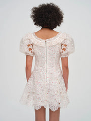 Aphrodite Embroidered Mini Dress