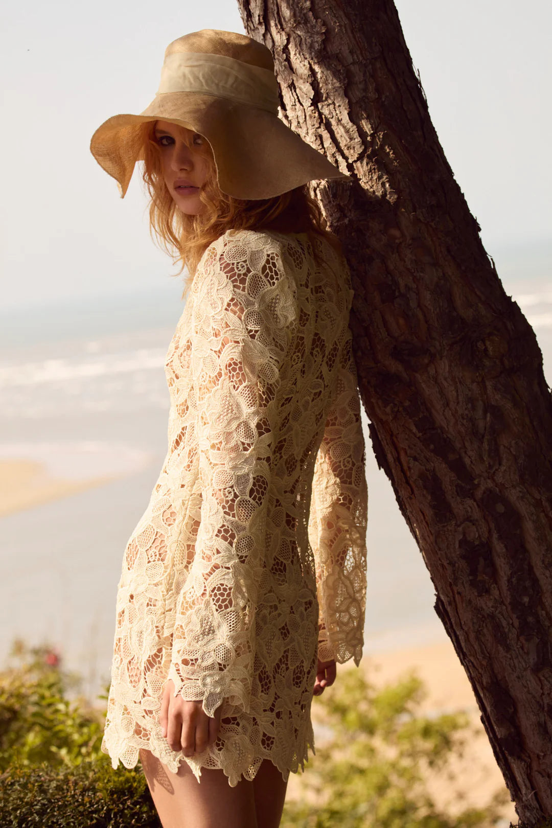 Coco Lace Long Sleeve Mini Dress